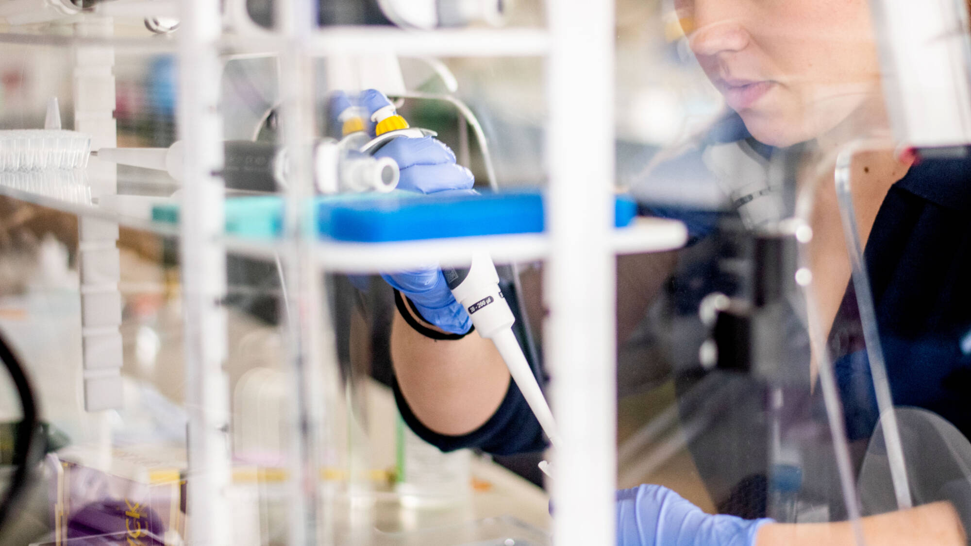 student pipetting at hood.